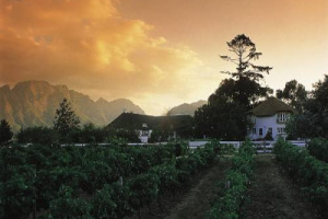 UN ALTRO DEGLI IMPRENDITORI PI&Ugrave; IMPORTANTI DEL PIANETA ENTRA NEL MONDO DELLA PRODUZIONE DI VINO (E DELL&rsquo;ENOTURISMO): IL MAGNATE DEL GRUPPO VIRGIN, RICHARD BRANSON, HA ACQUISTATO MONT ROCHELLE HOTEL & MOUNTAIN VINEYARD, REALT&Agrave; TOP DEL SUDAFRICA