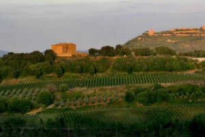 Per i 50 anni il Consorzio di Montalcino celebra il 28-29 aprile alcuni personaggi storici con esperti, fa una Guida con Michelin agli chef italiani, una verticale, una charity dinner con chef Enrico Cerea. Focus: la storia del Brunello per WineNews