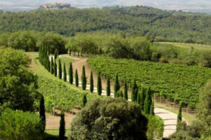 BRUNELLO DI MONTALCINO: IL 2010? VENDEMMIA ECCEZIONALE. IL PRESIDENTE RIVELLA: &ldquo;ANNATA ECCELLENTE&rdquo;. IL FATTORE VINCENTE? FORZA DEL TERRITORIO E SAPER FARE DEI VITICOLTORI. LO DICONO ESPERTI E PRODUTTORI. IL PROFESSOR SCIENZA: &ldquo;VENDEMMIA A 5 STELLE&rdquo;