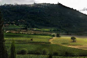La Fondazione del Brunello, con il via libera dell&rsquo;assemblea dei vignaioli di Montalcino, &egrave; realt&agrave;. Il presidente Bindocci: &ldquo;esempio virtuoso, i Consorzi del vino pronti a diventare &ldquo;banche&rdquo; per i territori&rdquo;. Le risorse da 2 centesimi a bottiglia