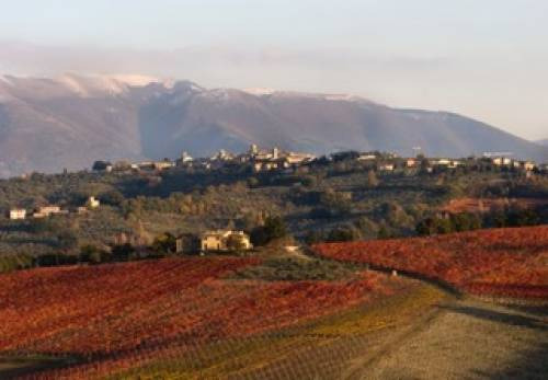 Il paesaggio di Montefalco