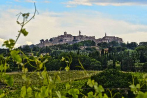 Storia e modernit&agrave;, legame con citt&agrave; e proiezione su mercati del mondo, investimenti in sostenibilit&agrave;, per arrivare ad essere territorio ad emissioni 0: presente e futuro del Nobile di Montepulciano a &ldquo;Anteprima Nobile 2017&rdquo;. 4 stelle ad annata 2016