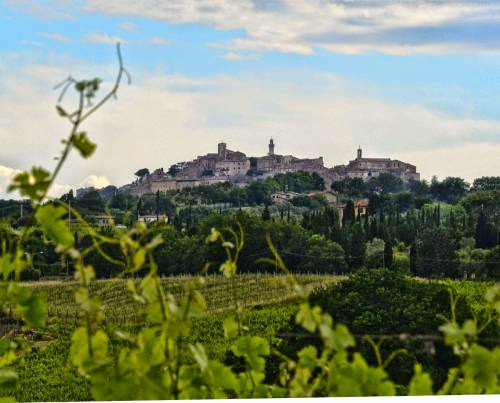 Montepulciano, in Toscana, patria del Vino Nobile ed una delle culle del Rinascimento culturale italiano