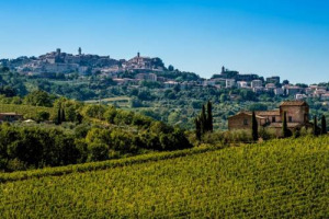 Nonostante una vendemmia 2017 difficilissima, per il Nobile di Montepulciano &egrave; un&rsquo;annata a &ldquo;5 stelle&rdquo;, il massimo del rating (rumors WineNews). In 15 anni, secondo il Consorzio, nel territorio arrivati 340 milioni in vigna e in cantina