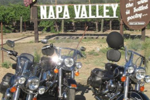 I vini californiani sono sempre pi&ugrave; apprezzati, soprattutto negli stessi Stati Uniti: record di 268,6 milioni di casse spedite nel 2014, +3,7% sul 2013. E trainano l&rsquo;export Usa (su cui pesano per il 90%), a 1,5 miliardi di euro. Cos&igrave; &ldquo;Decanter&rdquo;