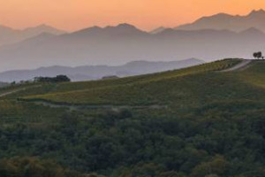 “Mr. Monfortino”, Conterno, buys Nervi, in Gattinara