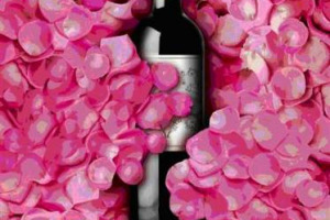 A NOVEMBRE SBOCCIA A VERONA LA “PRIMAVERA DEL NOVELLO”: IL DÉBLOCAGE IL 4 NOVEMBRE 2008, IL SALONE DAL 5 AL 6 NOVEMBRE. LA REGIA E’ DI VERONAFIERE