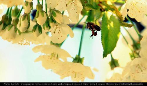 La foto migliore su Nutrire il Pianeta by Eugenio Giunta