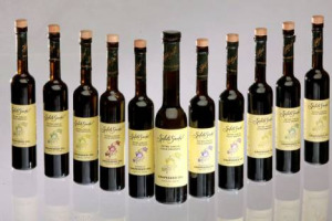 DELLA VITE NON SI BUTTA VIA NIENTE: SE DAGLI ACINI NASCE E IL VINO E DAI TRALCI BIOCARBURANTE, IN CALIFORNIA I VINACCIOLI DIVENTANO OLIO. SI CHIAMA &ldquo;SALUTE SANTE&rsquo;!&rdquo;, LA LINEA DI OLI NATI DAI DIVERSI VITIGNI DELLA NAPA VALLEY, DAL MERLOT AL RIESLING