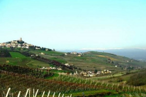 Dopo l&rsquo;offerta di acquisto superata in extremis, Cantina di Soave non ha partecipato (come annunciato) all&rsquo;asta per la storica cantina dell&rsquo;Oltrep&ograve; La Versa, &ldquo;aggiudicata&rdquo; dalla realt&agrave; pi&ugrave; grande del territorio, Terre d&rsquo;Oltrep&ograve;