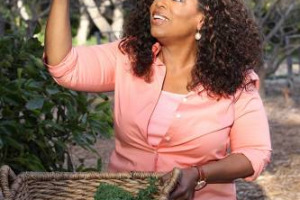Oprah Winfrey, regina del suo impero mediatico e superstar dei talk show Usa, lancerà presto, in collaborazione con la multinazionale Kraft Heinz, una propria linea di cibi precotti e surgelati focalizzati sull’essere sani e nutrizionalmente corretti