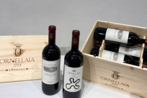 &ldquo;L&rsquo;Essenza&rdquo; del vino, che &egrave; quella della vita, della natura, dell&rsquo;uomo: ecco &ldquo;Ornellaia Vendemmia d&rsquo;Artista&rdquo; 2014, firmata dall&rsquo;artista brasiliano Ernesto Neto. Un progetto che, all&rsquo;edizione n. 9, ha donato ai musei del mondo oltre 1 milione di euro