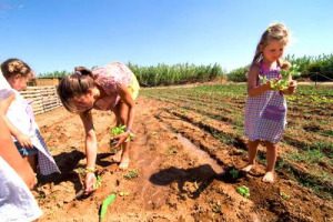 Melanzane in riva al mare e galline in spiaggia: in Puglia, nel mare del Salento, si coltiva l’orto, si mangiano i suoi frutti, si accudiscono animali, si fanno bagni e castelli di sabbia. All’“Eden Salento”, primo stabilimento balneare con fattoria