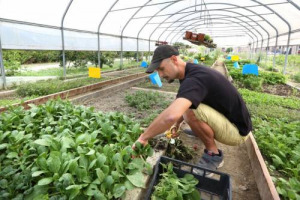 Il regno di chef Enrico Crippa apre le porte: l’“Orto Piazza Duomo”, dove “nascono” i protagonisti dei piatti a tre stelle Michelin del ristorante della griffe del Barolo Ceretto, è pronto ad accogliere i primi visitatori, gourmet e appassionati