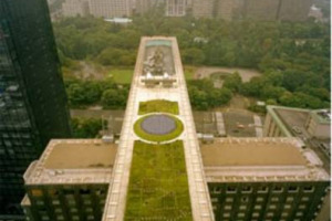 VITA IN CAMPAGNA: 1 ITALIANO SU 4 NELL’ORTO. ARRIVA IL “PERSONAL TRAINER” PER OFFRIRE ASSISTENZA A DOMICILIO AGLI ITALIANI AFFASCINATI DA POSSIBILITÀ DI COLTIVARE L’ORTO PER GARANTIRSI CIBI GENUINI A CONTATTO CON LA NATURA ... LE TIPOLOGIE DI ORTO