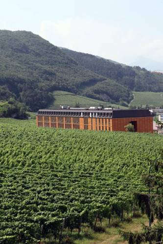 Il palazzo tra i vigneti