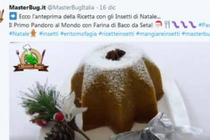 Fonte Ansa - Il pandoro del prossimo Natale? Agli insetti: in linea con le indicazioni Ue sul Novel Food e gli insetti commestibili ricchi di proteine ed ecosostenibili, ha un impasto con farina di baco da seta. È made in Italy, creato da Master Bug