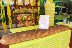 Non si placa la polemica sull’Oms, che ha classificato le carni lavorate nel Gruppo 1, lo stesso del fumo, delle sostanze cancerogene: ad Expo arriva un panino da record, firmato Coldiretti, lungo 3 metri e farcito con i salumi Dop del Belpaese