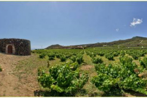 I Giardini Panteschi di Pantelleria, restaurati dalla griffe del vino siciliano Donnafugata nel 2008, diventano un esempio di gestione sostenibile delle risorse idriche, e saranno protagonisti, con Jos&eacute; Rallo, al Convegno Nazionale Fai di Palermo
