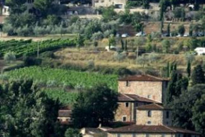IL BIODISTRETTO VINICOLO PIÙ GRANDE D’EUROPA È NEL CHIANTI CLASSICO, A NIPOZZANO: 30 AZIENDE PERI 400 ETTARI CHE, DA UN ANNO, COINVOLGONO UN’INTERA COMUNITÀ. A WINENEWS LE PAROLE DI VALERIA VIGANÒ ORSINI, A CAPO DELL’UNIONE VITICOLTORI DI PANZANO