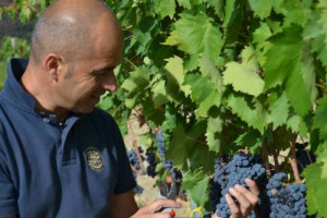 C&rsquo;&Egrave; ALMENO UN ITALIANO NELLA &ldquo;TOP 10&rdquo; MONDIALE DI &ldquo;WINE SPECTATOR&rdquo;, CHE OGGI HA SVELATO SOLO LE POSIZIONI DA 10 A 6 DELLA SUA ATTESA &ldquo;TOP 100&rdquo;: AL N. 9, C&rsquo;&Egrave; IL BRUNELLO DI MONTALCINO 2007 CIACCI PICCOLOMINI D&rsquo;ARAGONA. IL 16 NOVEMBRE IL N. 1 ...