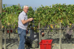 Una mente dell&rsquo;ingegneria elettronica tra le pi&ugrave; note del made in Italy nel mondo, tra i vigneti della Val d&rsquo;Orcia, vigneron per passione in un&rsquo;azienda biodinamica: la case history di Pasquale Forte, fondatore di Eldor Corporation e del Podere Forte