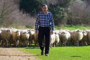 Pecore con il chip, ovile computerizzato e controlli continui del foraggio per un pascolo 2.0. È Luigi Farina il pastore più hi-tech d’Italia: “rispetto dalla tradizione e minor stress per gli animali. Adesso spinta “ultrabiologica” alla produzione”