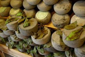 Fiore sardo e pecorino (+19%), prosciutti, speck e affini (+11%) e gorgonzola (+8%): ecco il podio del made in Italy alimentari cresciuto di più all'export nella prima metà del 2014 secondo Coldiretti su dati Ismea. Crollano gli ortaggi: -10%