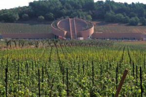 &ldquo;UGUALI PERCH&Eacute; DIVERSI. IL SANGIOVESE CHE VERR&Agrave;&rdquo;: IL FUTURO DEL VINO ATTRAVERSO IL VITIGNO PRINCIPE DELLA TOSCANA. A PETRA, CANTINA DI TERRA MORETTI, IL 4 DICEMBRE, NE PARLANO MOJOLI, CAPRAI, MANCINI, SCIENZA, CERNILLI, MORACE, FERIOLO, WHITE ...