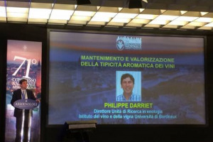 Congresso Assoenologi - &ldquo;La complessit&agrave; aromatica fa grande un vino, grazie a una percezione celebrale &ldquo;inconsapevole&rdquo;. Per questo &egrave; necessario conservarla e valorizzarla, in vigneto e in cantina&rdquo;. A dirlo Philippe Darriet dell&rsquo;Universit&agrave; di Bordeaux
