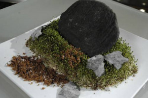 PIATTI DA OLIMPIADI: DAL SANDWICH “LANCIO DEL DISCO” AL “RAVIOLO DELL’ATLETA”, GRANDI CHEF (BOWERMAN, COGO, BOTTURA, KIM, MENDES) IN COPPIA CON ARTISTI FAMOSI INTEPRETANO LE DISCIPLINE OLIMPICHE NELLA MOSTRA “SPORT YOUR FOOD” (MILANO, DAL 5 MAGGIO)