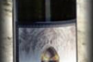 CITTA’ DEL VINO - IL VINO PIU’ “RACCOMANDATO” DAI SINDACI ITALIANI: E’ IL PICOLIT “VIGNA PETRUSSA” IL MIGLIORE PER “LA SELEZIONE DEL SINDACO” 2008. IN CAMPIDOGLIO LA PREMIAZIONE, CON IL MINISTRO DELLE POLITICHE AGRICOLE LUCA ZAIA