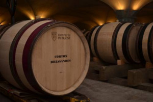 Non uno, ma ben cinque battitori d&rsquo;eccezione per gli Hospices de Beaune. Virginie Ledoyen, Khatia Buniatishvili, Val&eacute;rie Bonneton, Claude Lelouch e Eddy Mitchell ospiti d&rsquo;onore della &ldquo;Vente des vins&rdquo;, con Christie&rsquo;s e 596 &ldquo;pi&egrave;ces&rdquo; (20 novembre)