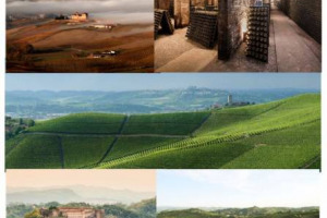 Il Piemonte del vino, riunito sotto il brand Piemonte Land of Perfection, presenta i risultati 2016 (produzione a 2,54 milioni di ettolitri, +3% sul 2015) e svela il tour mondiale del 2017, perché l’export enoico piemontese vale 1 miliardo di euro