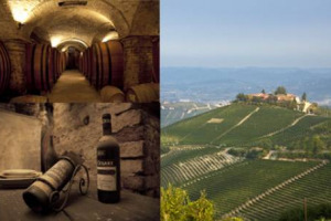 Pio Cesare, storica cantina di Alba, incrementa l&rsquo;estensione e la qualit&agrave; dei propri vigneti comprando otto ettari ai &ldquo;Mosconi&rdquo; di Monforte d&rsquo;Alba, prestigioso cru della zona del Barolo. L&rsquo;azienda arriva cos&igrave; a condurre 70 ettari di vigneto