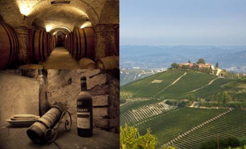 La cantina Pio Cesare nel cuore di Alba