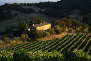 Rumors WineNews: Podere Salicutti, piccolo gioiello del territorio del Brunello di Montalcino (11 ettari, di cui 3,7 di vigneto, di cui 2,1 a Brunello, venduto ad un imprenditore tedesco dal fondatore Francesco Leanza (che rimane nel management)