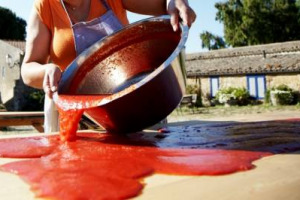 370 aziende agricole, 7,000 ettari di terreno tra Cremona, Mantova, Parma e Piacenza, per 550.000 tonnellate di pomodoro all’anno e un volume d’affari sui 270 milioni di euro: ecco i numeri del nuovo colosso cooperativo del pomodoro italiano