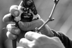 Niente astronauta, ballerina o tronista, il lavoro dei sogni per i giovani italiani &egrave; legato a qualit&agrave; del made in Italy: secondo uno studio di Klaus Davi nella top ten ci sono lo stilista, l&rsquo;orafo, il designer d&rsquo;interni e, ovviamente, il viticoltore