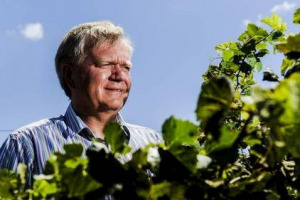 Non solo attori, calciatori e vip dello spettacolo tra i vignaioli illustri. Alla lista si aggiunge anche il premio Nobel per la Fisica del 2011 Brian Schmidt che produce vino, insieme alla moglie, nella sua azienda Maipenrai a Sutton in Australia