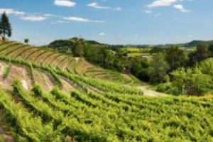 &ldquo;SCATTA LA PRIMAVERA DEL PROSECCO SUPERIORE&rdquo;: A VINCERE LE FOTO DI PALADIN, MENEGHELLO E CONTARINI CHE HANNO IMMORTALATO L&rsquo;UNICIT&Agrave; DEL TERRITORIO DEL CONEGLIANO-VALDOBBIADENE, LA TRADIZIONE E LA FORZA CHE EMERGONO DAI TRALCI DI VITE