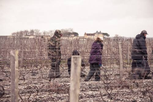 I Preparatori di Uve a Chateau d’Yquem