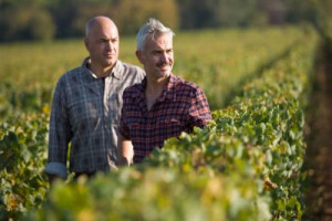 NASCE LA “SCUOLA” DI POTATURA D’ITALIA: L’IDEA E’ DEGLI AGRONOMI, SIMONIT E SIRCH, PER INSEGNARE AI VITICOLTORI A PREVENIRE LE MALATTIE E ALLUNGARE IL CICLO DELLA VITE. METODO GIÀ INTRODOTTO NEI VIGNETI DI IMPORTANTI AZIENDE VITI-VINICOLE