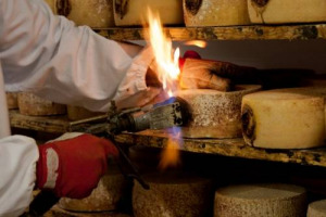 Sorpresa, la nuova star del made in Italy all’estero nel 2015 è il Pecorino: così Coldiretti che ne sottolinea il record di vendite all’export, a +17% su mercati, Stati Uniti in testa (+20%), Uk (+19%), Francia (+17%), Giappone (+12%), Cina (+410%)