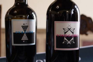 Sono Vinocchio e Uvagina e lottano contro il bullismo omofobico. I due vini di punta dell&rsquo;azienda Prodigio Divino degli stilisti coniugi Bruno Tommassini e Edoardo Marziani e del comico Fabio Canino, servono a dar voce a chi &egrave; meno fortunato di loro