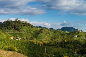 Verso candidatura Colline del Prosecco a Patrimonio Unesco. A Venezia firma del protocollo dei 28 Comuni Marca Trevigiana (26 settembre). Il presidente della Regione Zaia: &ldquo;nuovo patto Regione-Comuni per salvaguardia territorio che merita l&rsquo;Unesco&rdquo;