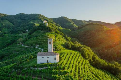 Il Conegliano Valdobbiadene emerge come esempio virtuoso della produzione vinicola