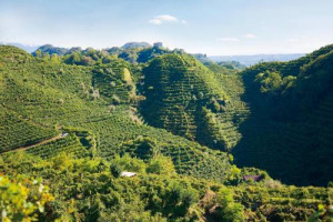 Da sempre tutt&rsquo;uno con la viticoltura, &ldquo;eroiche&rdquo;, candidate Unesco, tra &ldquo;Natura e Cultura&rdquo;, le colline del Prosecco Superiore Docg di Conegliano Valdobbiadene, dal 12 al 15 maggio, offrono lo spunto agli intellettuali per riflettere a &ldquo;Vino in Villa&rdquo;