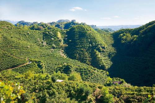 Tra natura e arte, il Prosecco di Conegliano e Valdobbiadene verso l’Unesco