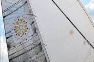 Brosecco, Prosecco Casuale, Richprosecco.Com, Rosecco, Pur Secco, Proseccoschnecke, Prosejito, limonsecco, t-secco e cos&igrave; via: decine le azioni di tutela del consorzio del Prosecco Doc per la tutela del marchio (che costano150.000 euro all&rsquo;anno)